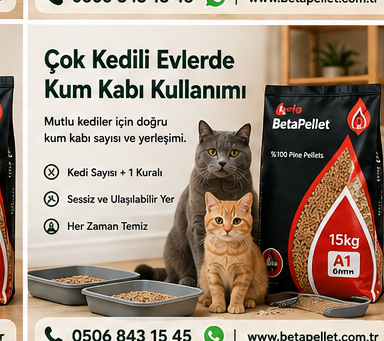 Çok kedili bir evde birden fazla kum kabı kullanımını gösteren rehber görseli