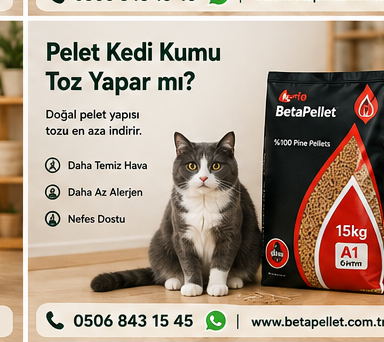 Pelet kedi kumunun tane ve toz yapısını değerlendiren rehber görseli